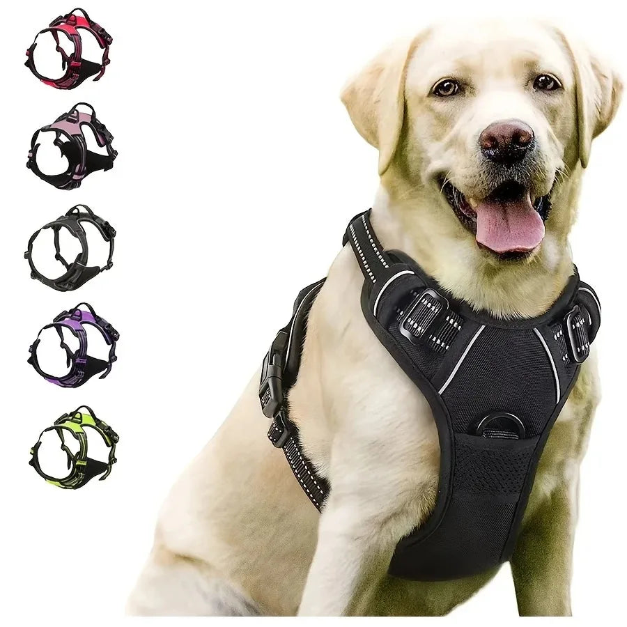 Leather Dog Collar & Harness Set – Durable, Adjustable & Comfortable for Small to Medium Dogs!