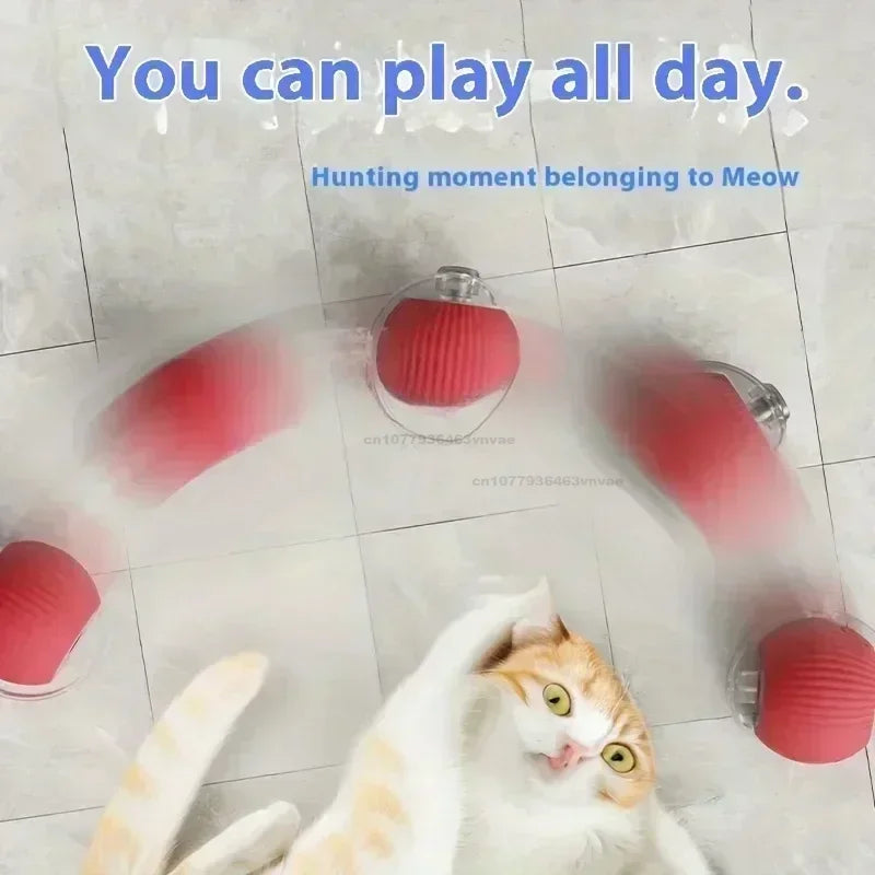 Interactive Cat Ball Toy – Automatic Rolling Electronic Toy for Kittens & Cats!