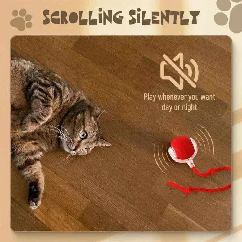 Interactive Cat Ball Toy – Automatic Rolling Electronic Toy for Kittens & Cats!