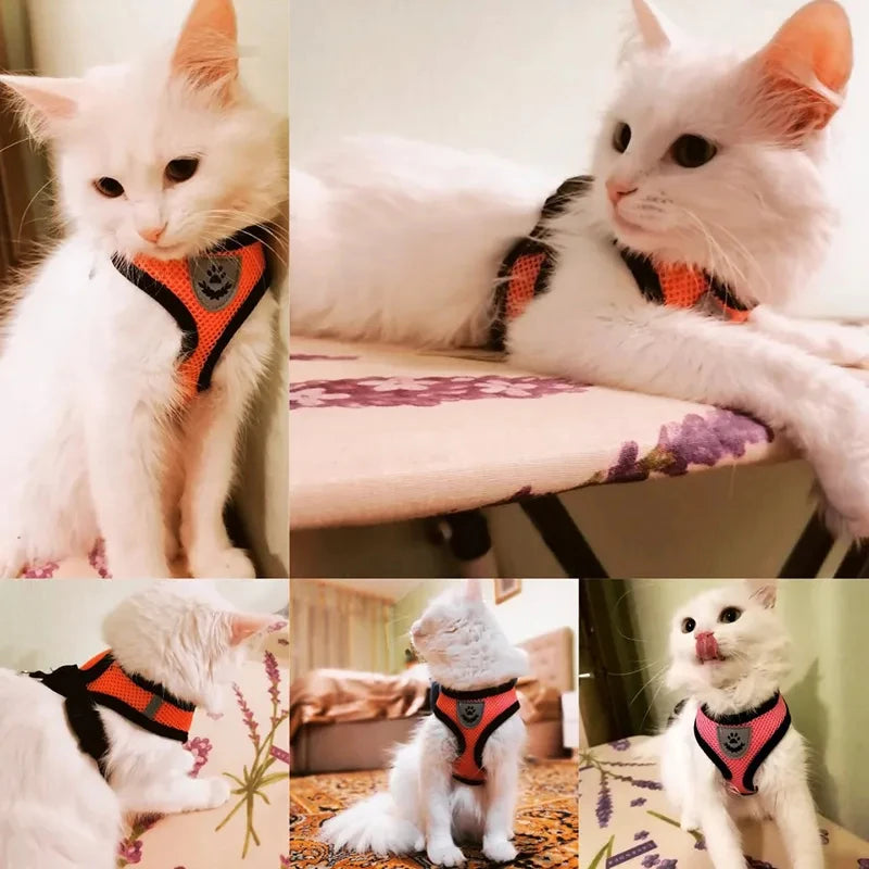 Escape-Proof Cat Harness & Leash – Adjustable Mesh Vest for Small & Medium Pets!