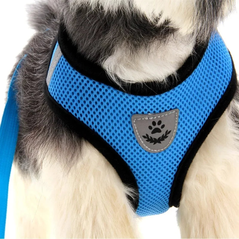 Escape-Proof Cat Harness & Leash – Adjustable Mesh Vest for Small & Medium Pets!