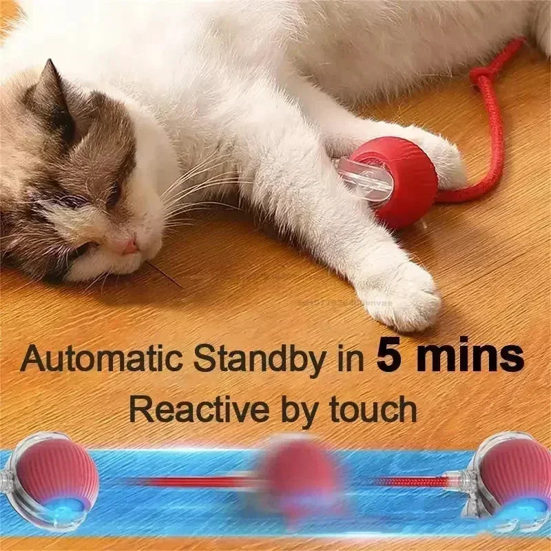 Interactive Cat Ball Toy – Automatic Rolling Electronic Toy for Kittens & Cats!