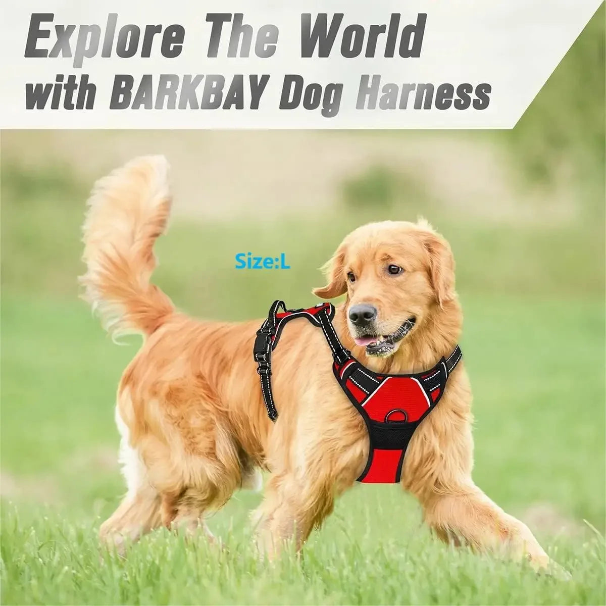 Leather Dog Collar & Harness Set – Durable, Adjustable & Comfortable for Small to Medium Dogs!