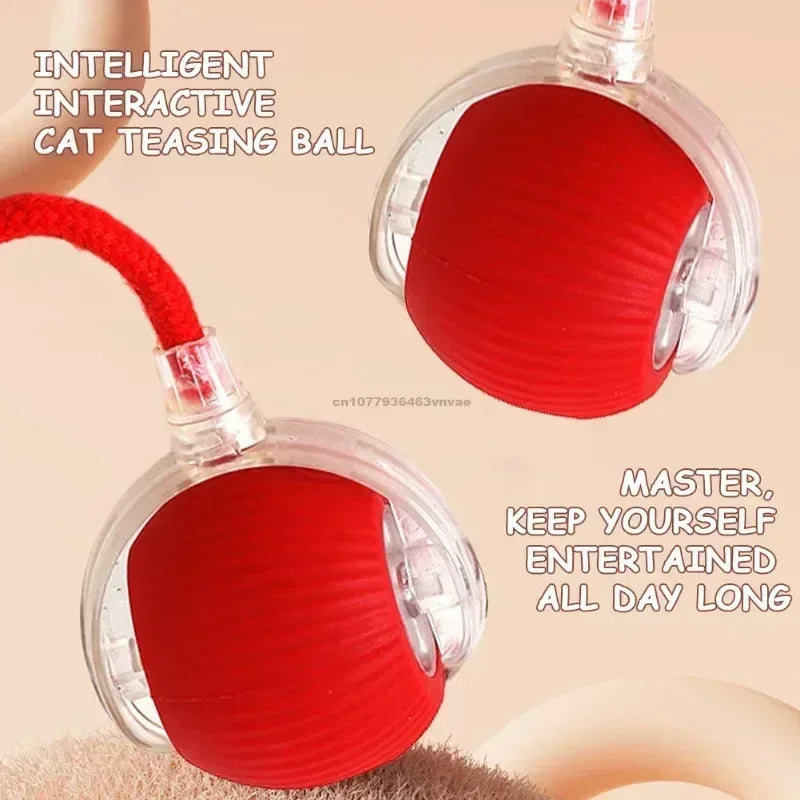 Interactive Cat Ball Toy – Automatic Rolling Electronic Toy for Kittens & Cats!