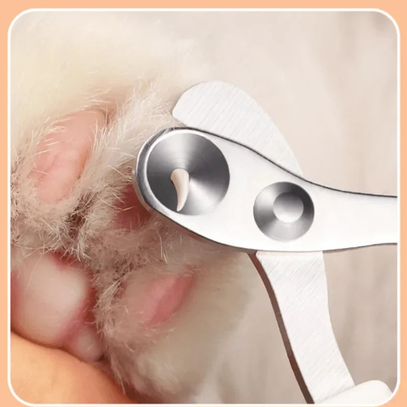 Professional Cat & Dog Nail Clippers – Stainless Steel Claw Cutter for Small Pets & Grooming!