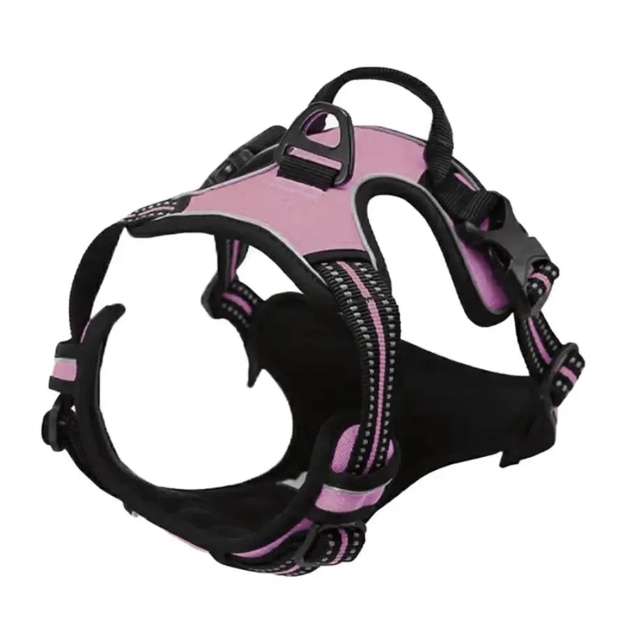 Leather Dog Collar & Harness Set – Durable, Adjustable & Comfortable for Small to Medium Dogs!