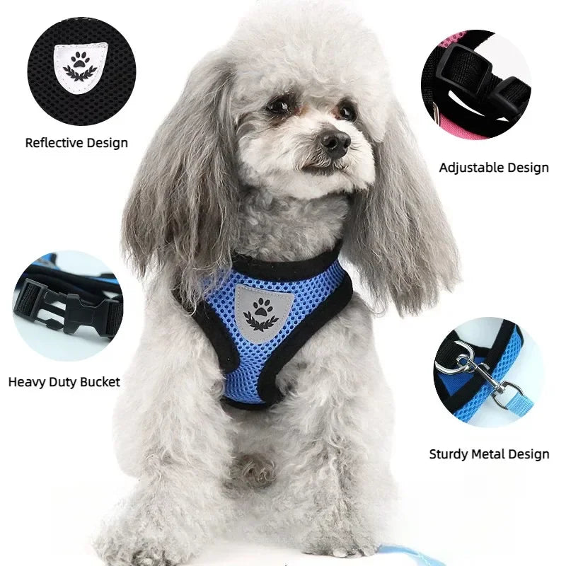 Escape-Proof Cat Harness & Leash – Adjustable Mesh Vest for Small & Medium Pets!