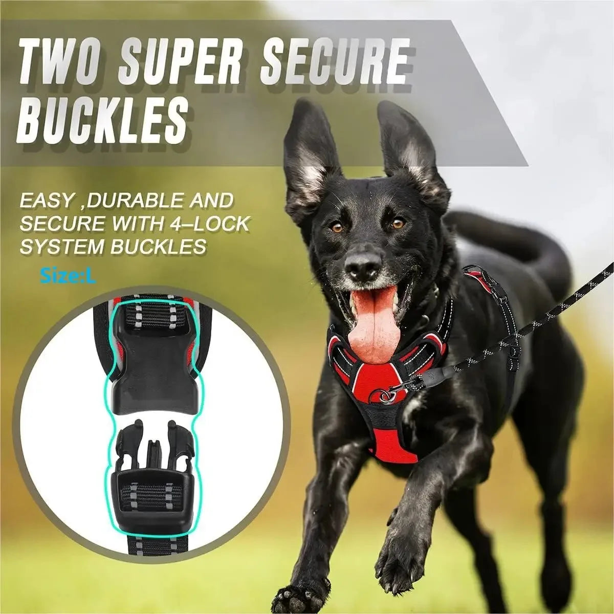 Leather Dog Collar & Harness Set – Durable, Adjustable & Comfortable for Small to Medium Dogs!