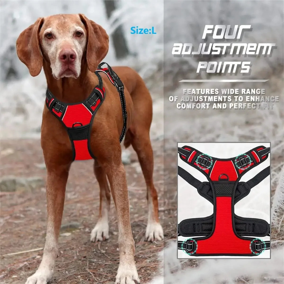 Leather Dog Collar & Harness Set – Durable, Adjustable & Comfortable for Small to Medium Dogs!