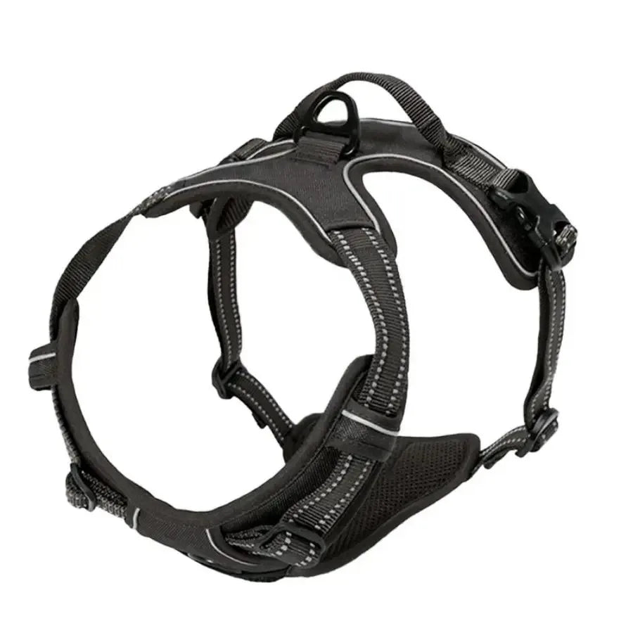 Leather Dog Collar & Harness Set – Durable, Adjustable & Comfortable for Small to Medium Dogs!